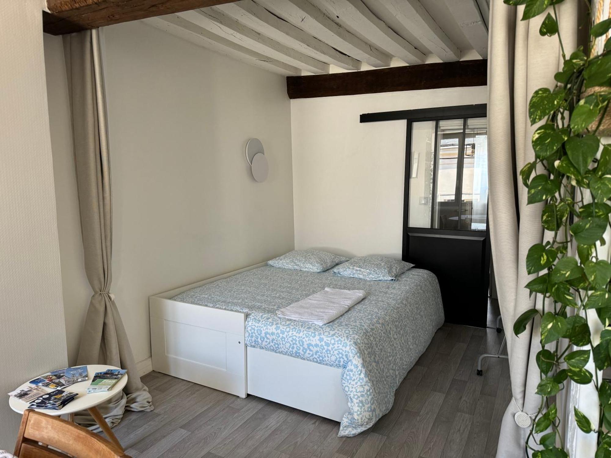Appartement Central - Orléans Kültér fotó
