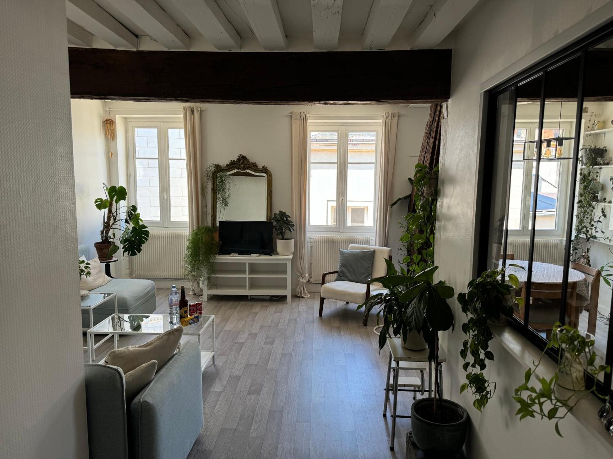 Appartement Central - Orléans Kültér fotó